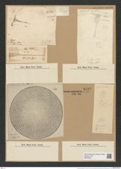 Coscinodiscus gigas Ehr. (de-Toni-Nr.: Genus 202, Species 5019) Zeichnungen Sammlung Grunow Nr. 8732 (NHMW-BOT-W0378313)